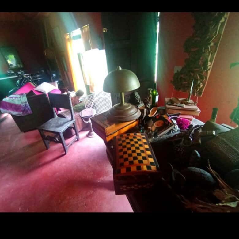 Tourism property interior with furniture, plants, and natural light near Playa Venao.