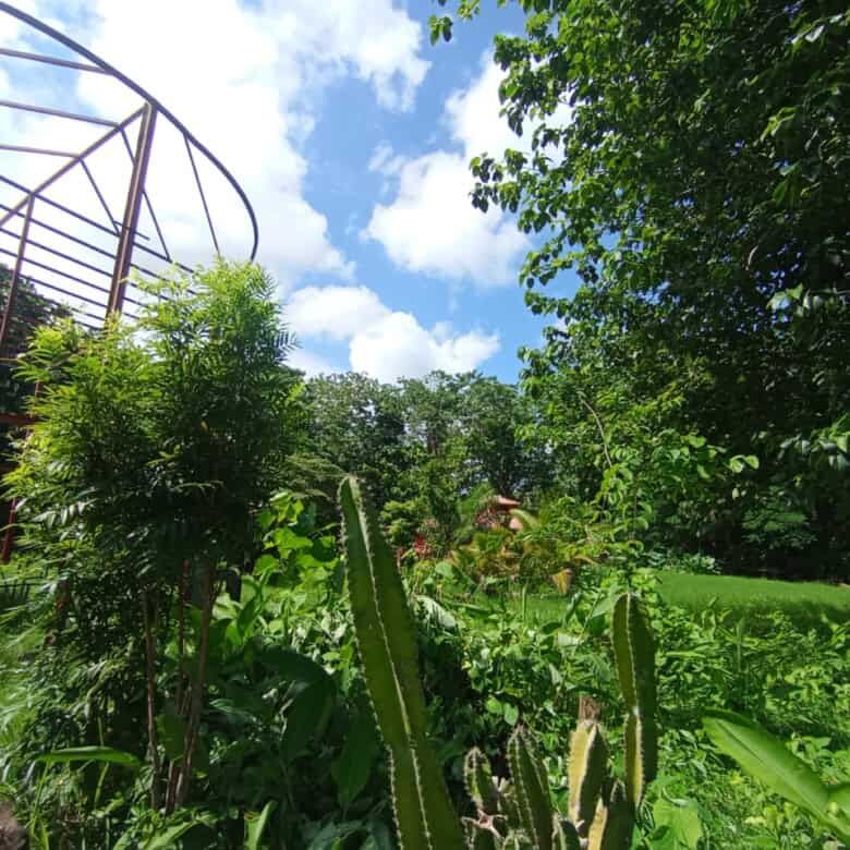 Lush tropical riverfront property with dense greenery near Playa Venao, Panama.