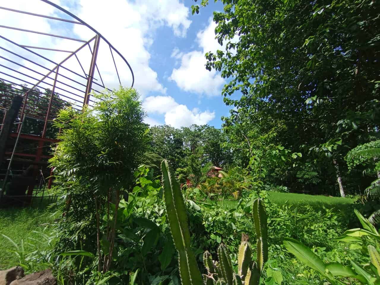 Lush tropical riverfront property with dense greenery near Playa Venao, Panama.