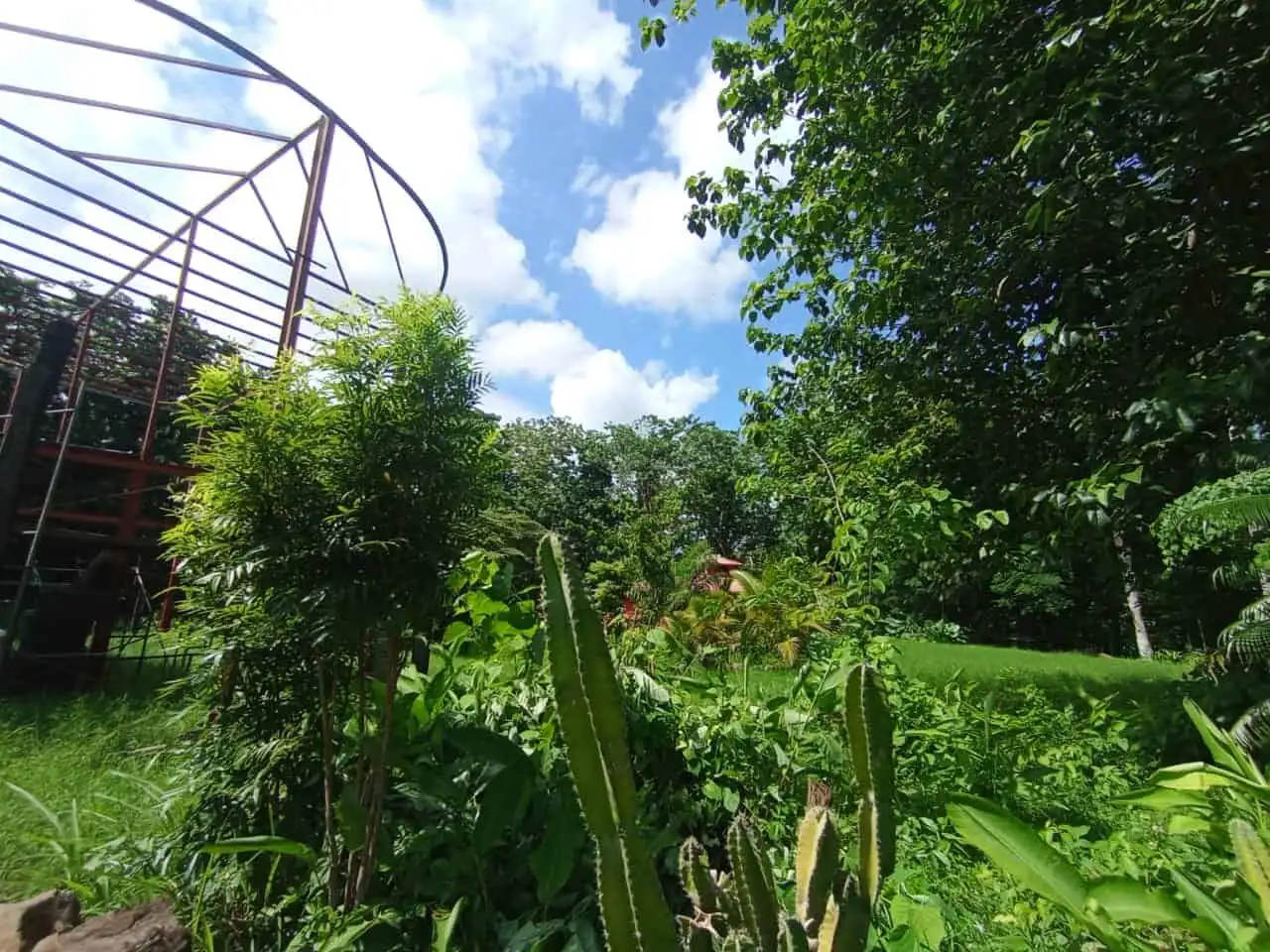Lush tropical riverfront property with dense greenery near Playa Venao, Panama.