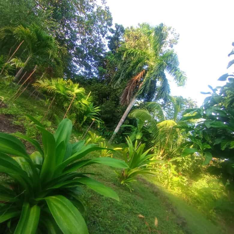 Beautiful tropical riverfront eco-tourism land in Panama, ideal for development near Playa Venao. Pe.