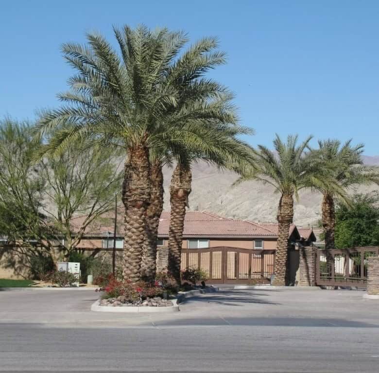 Luxury 4 Bed Villa for Sale in Indio, California with lush palm trees and desert mountain views.