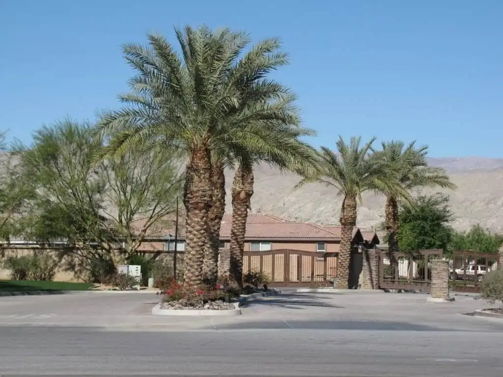 Luxury 4 Bed Villa for Sale in Indio, California with lush palm trees and desert mountain views.