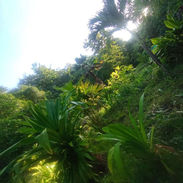 Tourism & Development Property for Sale Near Playa Venao, Panama.