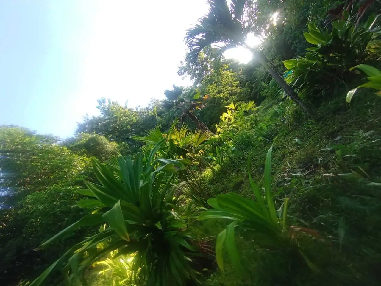 Tourism & Development Property for Sale Near Playa Venao, Panama.