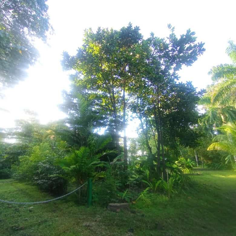 Friendly riverfront property near Playa Venao, Panama, ideal for eco-tourism projects.