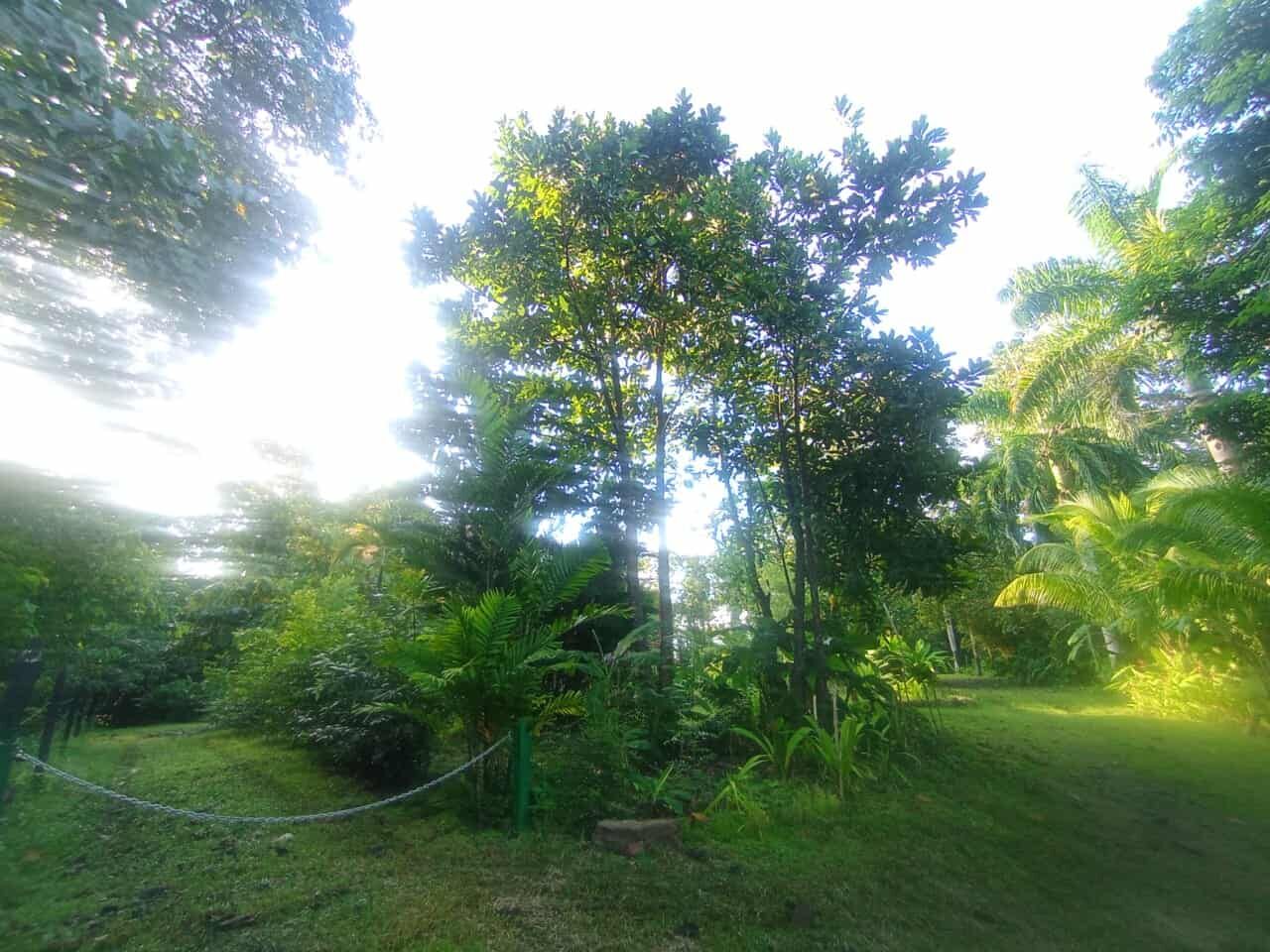 Friendly riverfront property near Playa Venao, Panama, ideal for eco-tourism projects.