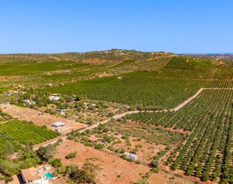 Aerial view of a lush Algarve estate with vineyards, rolling hills, and scenic landscape in Portugal.