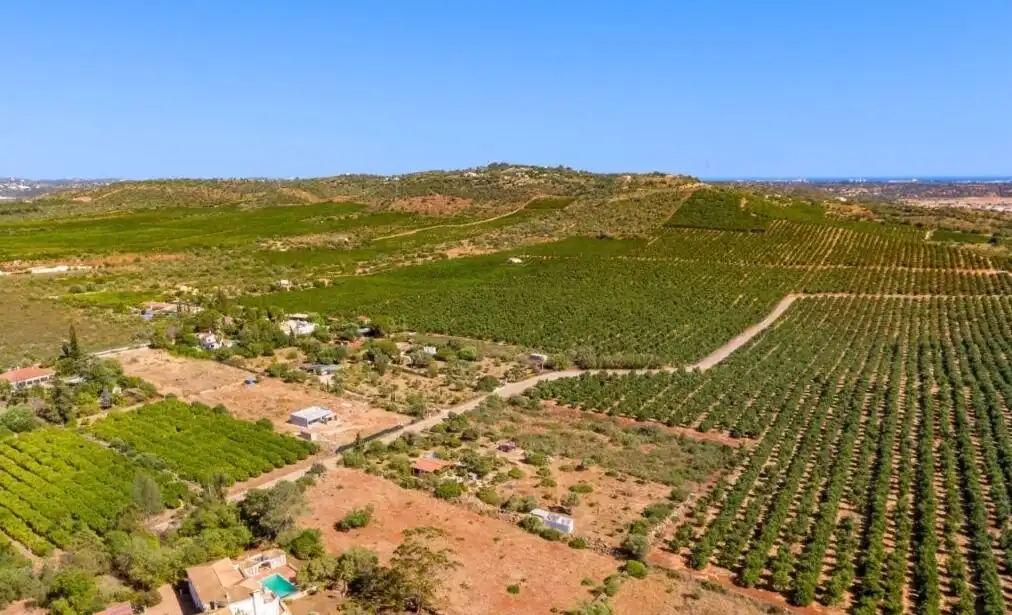 Luxury Algarve Countryside Estate with Vineyards and Scenic Views Aerial view of a lush Algarve estate with vineyards, rolling hills, and scenic landscape in Portugal.
