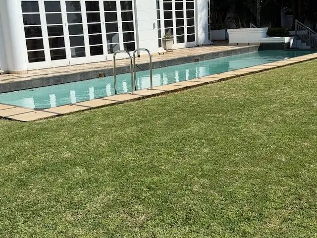 Modern swimming pool and lawn of a luxury 5-bedroom villa in Durban, South Africa.
