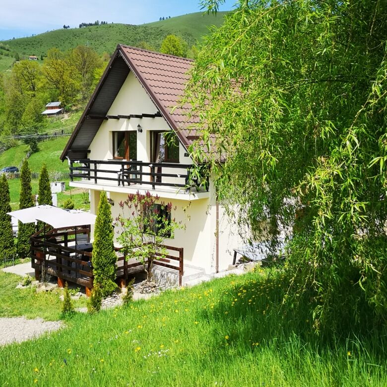 Story house surrounded by lush greenery in Bicaz, ideal for peaceful living.