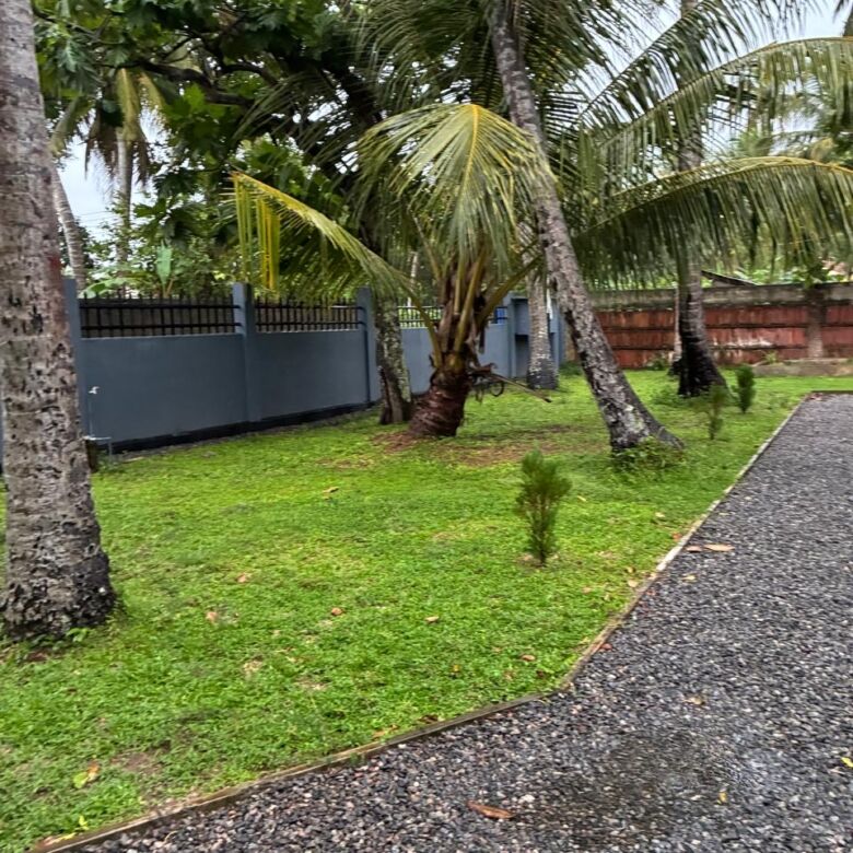 Lush tropical garden with palm trees and two houses in Waikkal, Sri Lanka.
