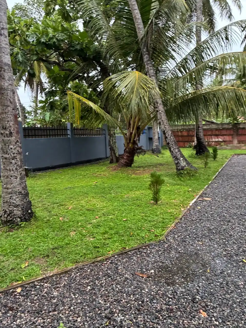 Lush tropical garden with palm trees and two houses in Waikkal, Sri Lanka.
