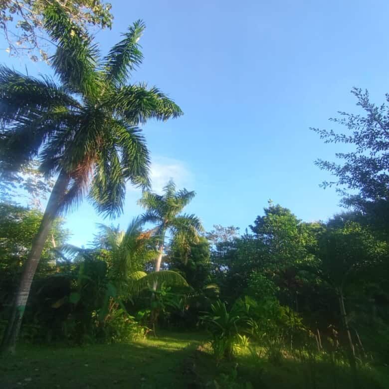 Tourism Riverfront Property Near Playa Venao, Panama.