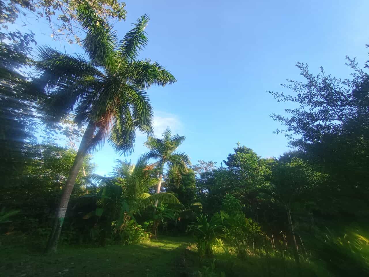 Tourism Riverfront Property Near Playa Venao, Panama.