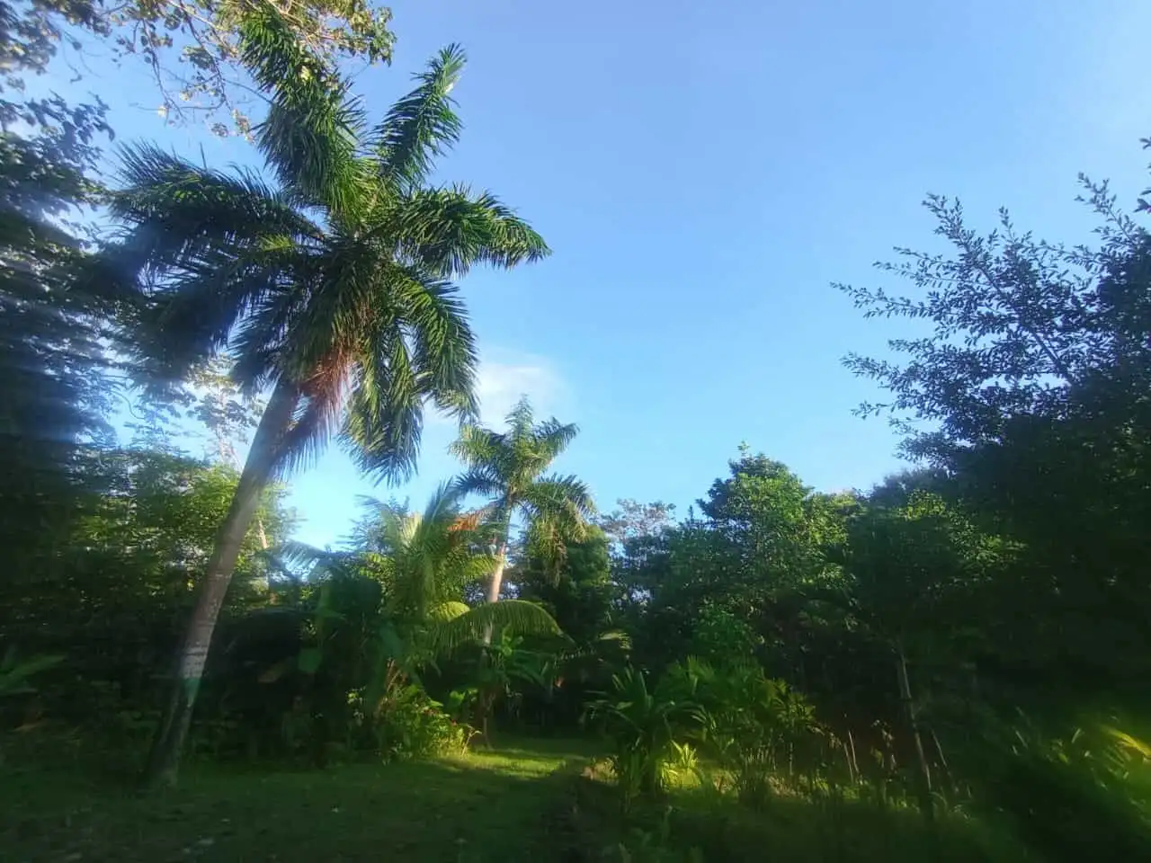 Tourism Riverfront Property Near Playa Venao, Panama.