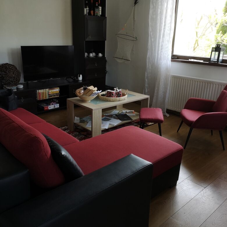 Interior of a living room with red and black furniture in Bicaz property.