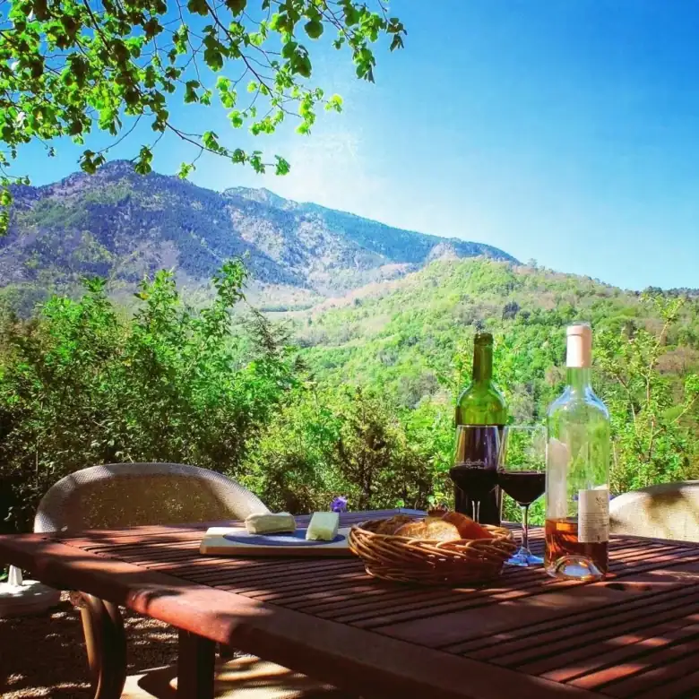 Chataigneraie gite complex with stunning mountain views in Sahorre, perfect for luxury hospitality i.