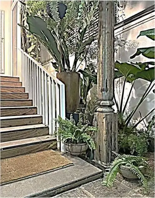 Elegant house entrance with lush tropical plants in Colombo, Sri Lanka.