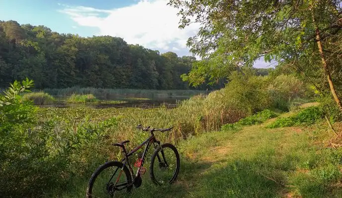Scenic land plot with bike by lake in Ciocanari, perfect for development or recreation.