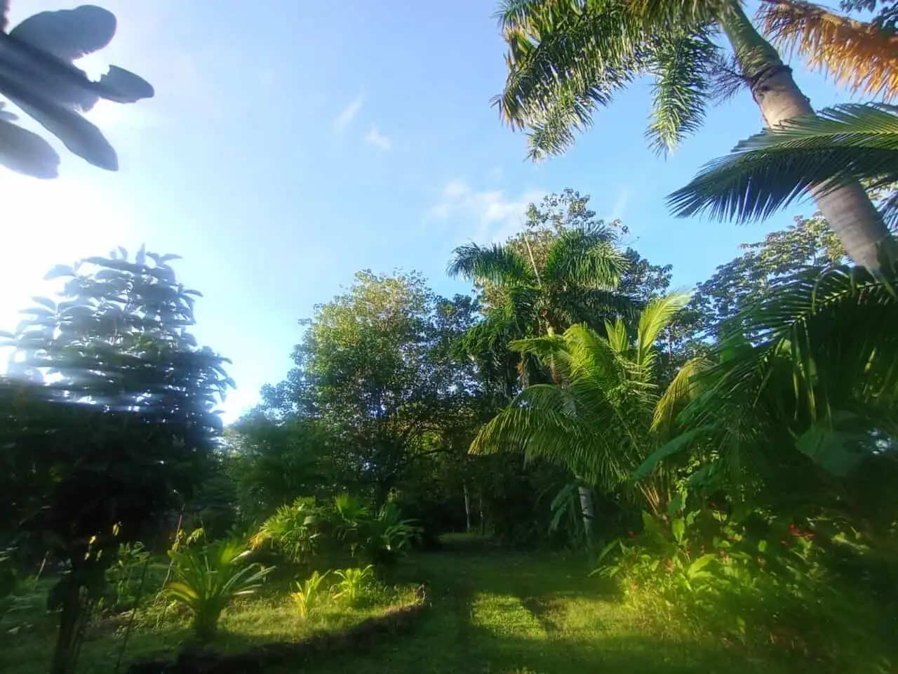 Tourism property with lush tropical trees near Playa Venao, Panama.