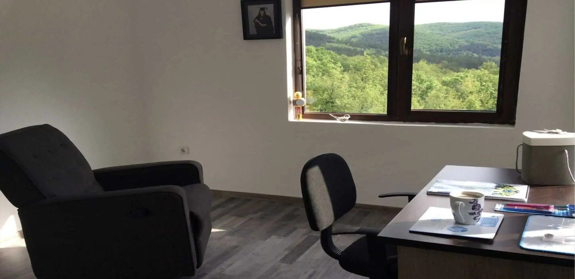 Bright interior with scenic views of lush greenery from the window.