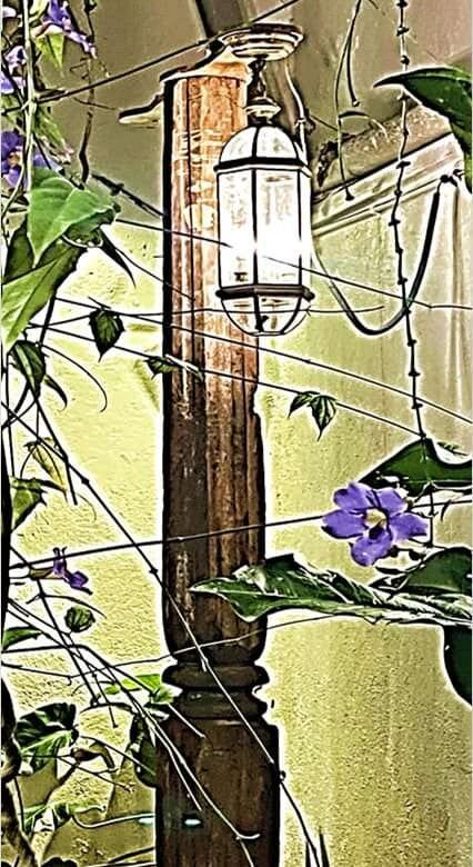 Elegant outdoor lantern on a wooden post in lush garden setting.
