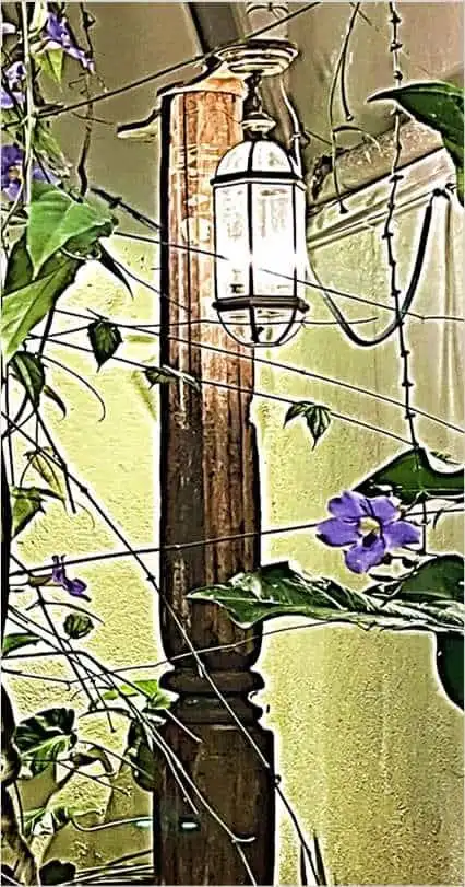 Elegant outdoor lantern on a wooden post in lush garden setting.