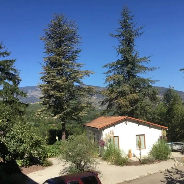 La Chataigneraie Gite Complex in Sahorre with lush greenery and mountain views.
