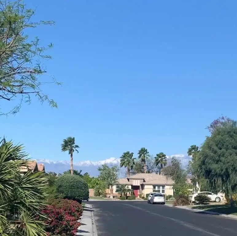 Beautiful view of a suburban street with palm trees and mountains in the background.