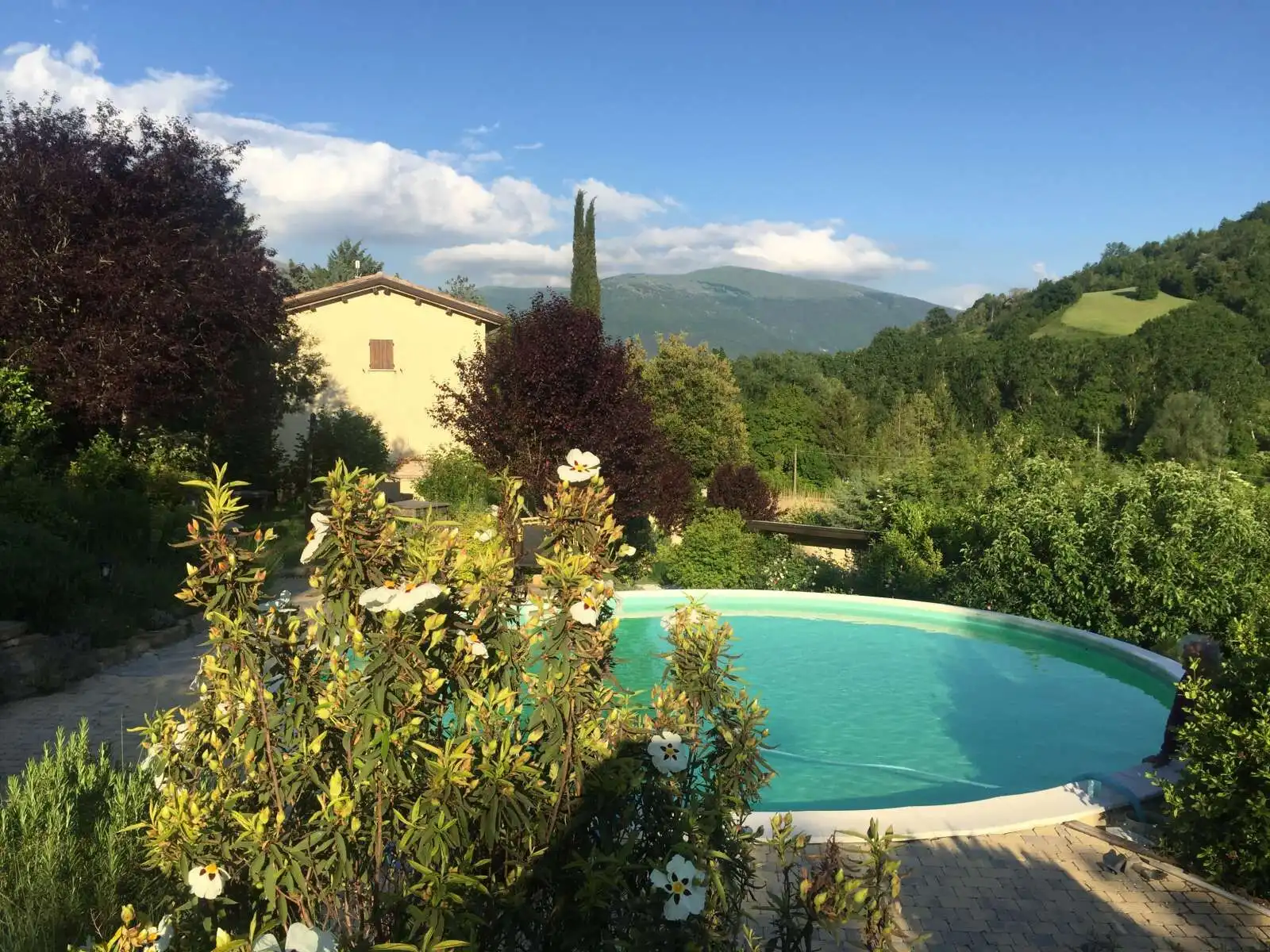 Beautiful farmhouse with swimming pool surrounded by lush greenery and scenic mountain views.