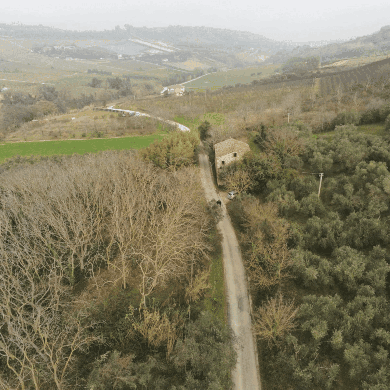 Farmhouse for sale in Campofilone, Fermo Marche, ideal for renovation and rural living.
