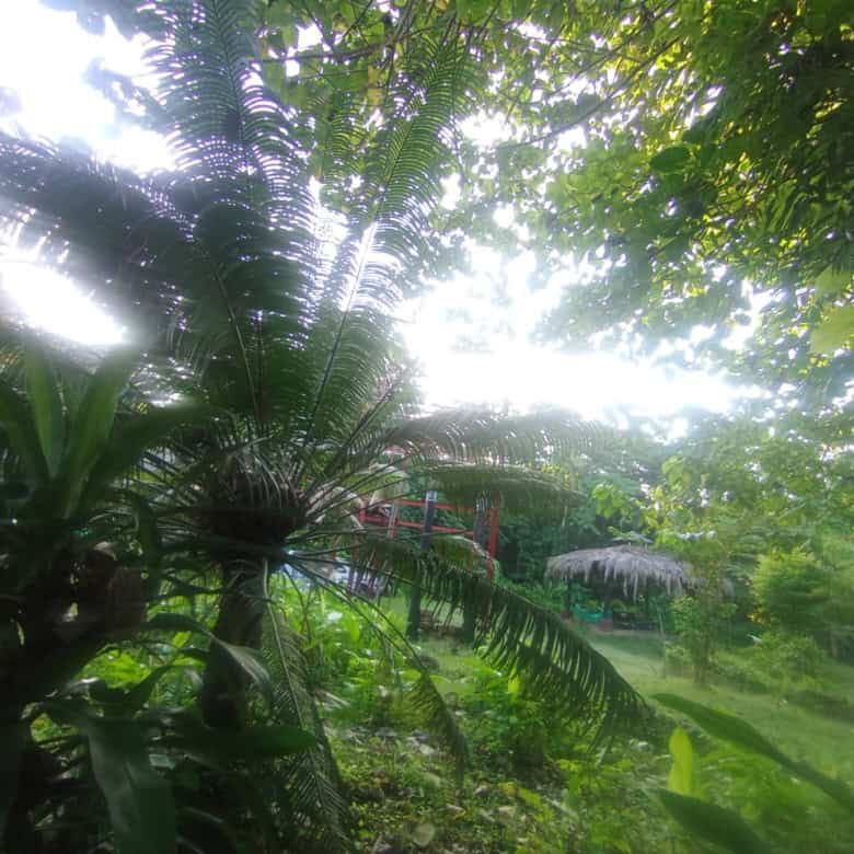 Friendly riverfront property ideal for tourism development near Playa Venao, Panama. Surrounded by l.