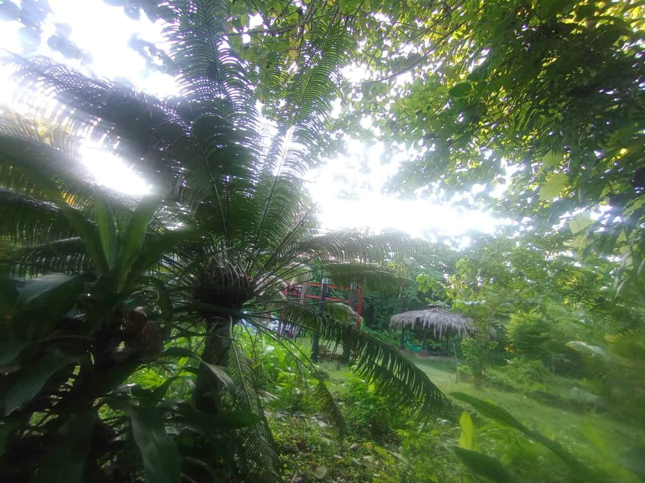 Friendly riverfront property ideal for tourism development near Playa Venao, Panama. Surrounded by l.