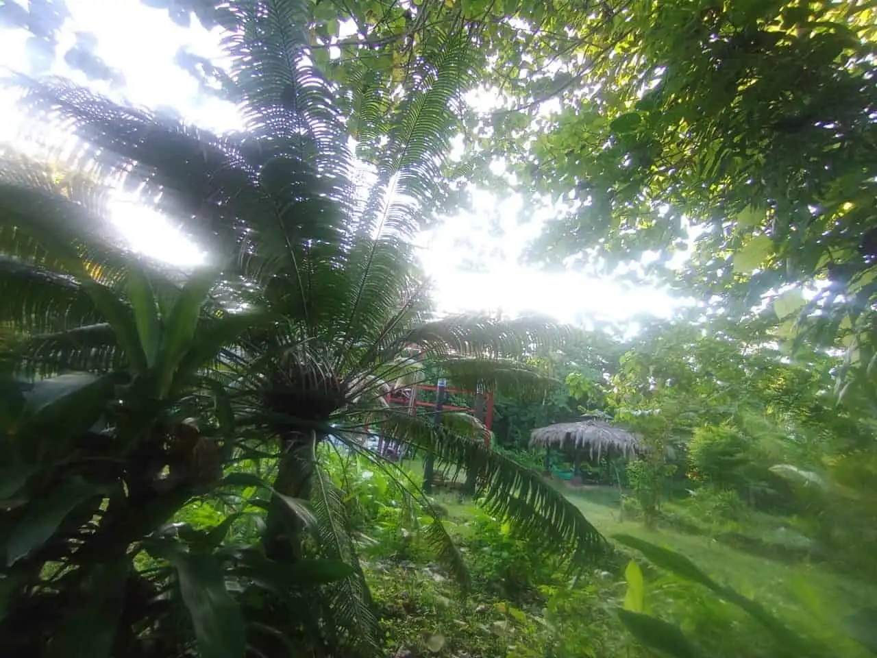 Friendly riverfront property ideal for tourism development near Playa Venao, Panama. Surrounded by l.