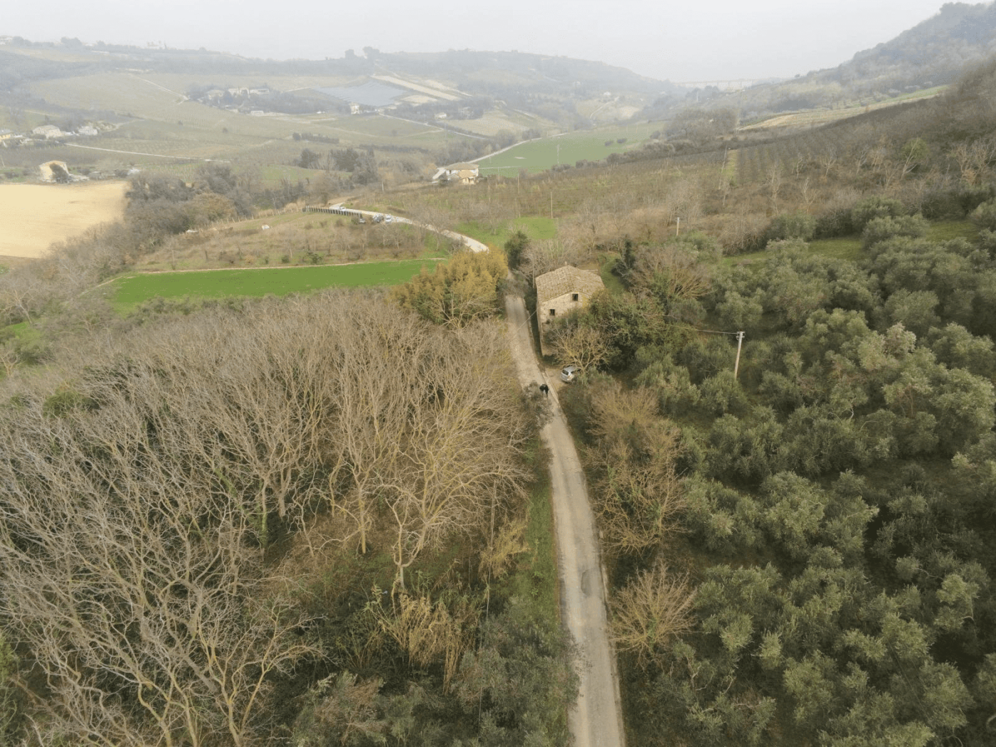 Farmhouse for Renovation in Campofilone Fermo Marche Farmhouse for sale in Campofilone, Fermo Marche, ideal for renovation and rural living.