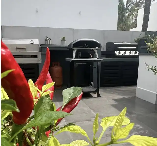 Outdoor kitchen with grills and cooking area in a modern villa setting.