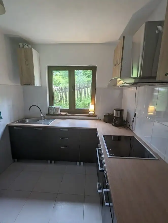 Modern kitchen in a Bicaz property for sale, featuring sleek cabinets, a window view of greenery, an.