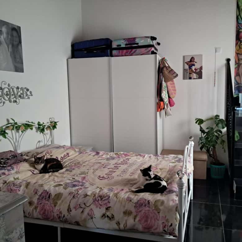 Beautiful bedroom with two cats, floral bedding, and decorative wall art in a charming Algarve villa.