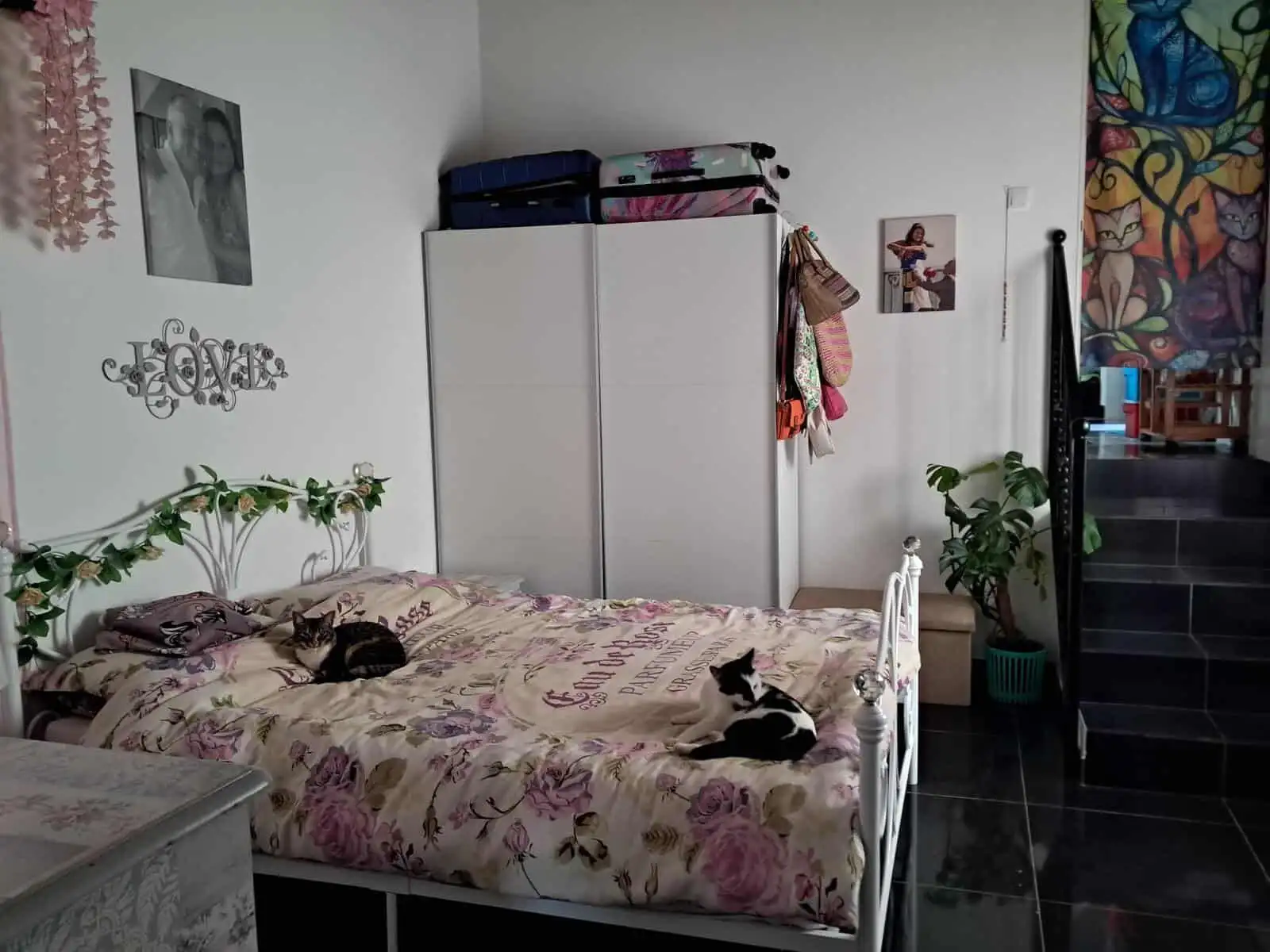 Beautiful bedroom with two cats, floral bedding, and decorative wall art in a charming Algarve villa.