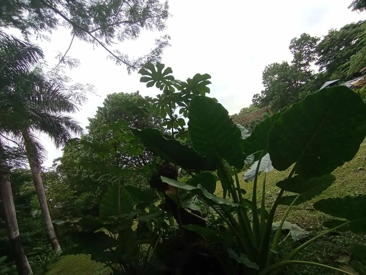 Friendly riverfront property near Playa Venao, Panama, ideal for eco-tourism development.