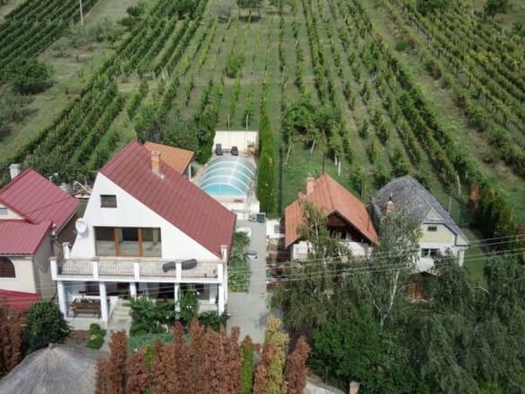 Aerial view of a house with outbuildings, swimming pool, and surrounding vineyards in Vinica, Slovak.
