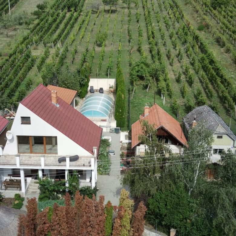 Aerial view of a house with outbuildings, swimming pool, and surrounding vineyards in Vinica, Slovak.