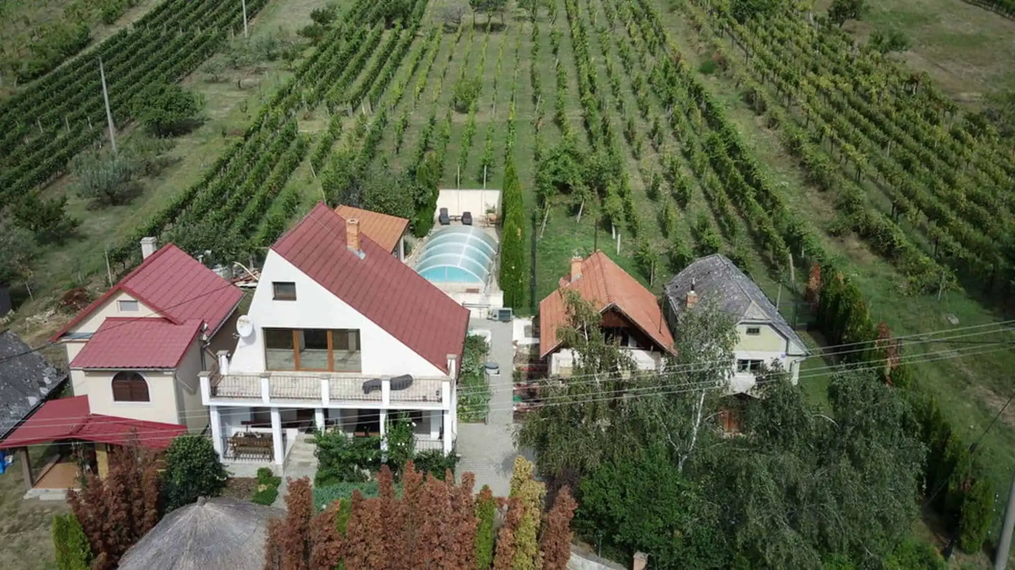 Aerial view of a house with outbuildings, swimming pool, and surrounding vineyards in Vinica, Slovak.