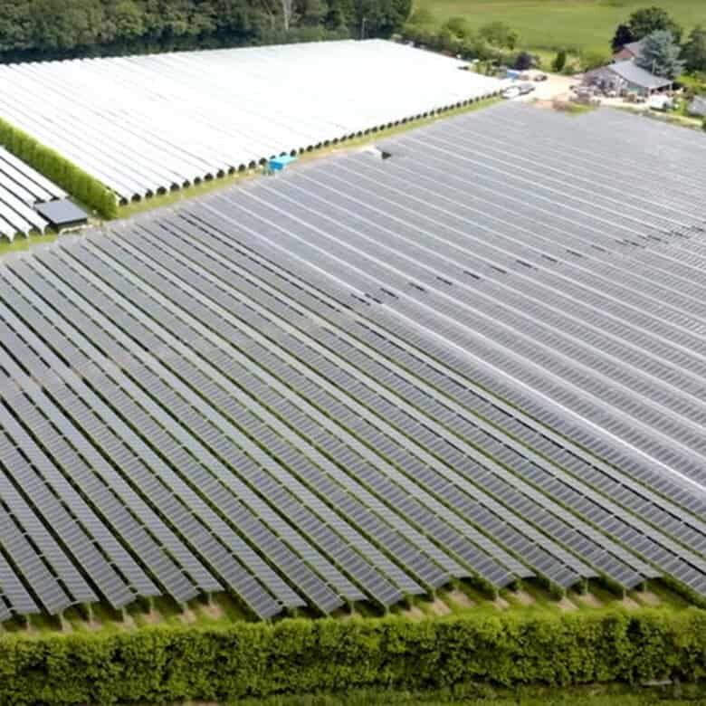 Solar panel farm on Martinique island promoting sustainable energy and high returns.