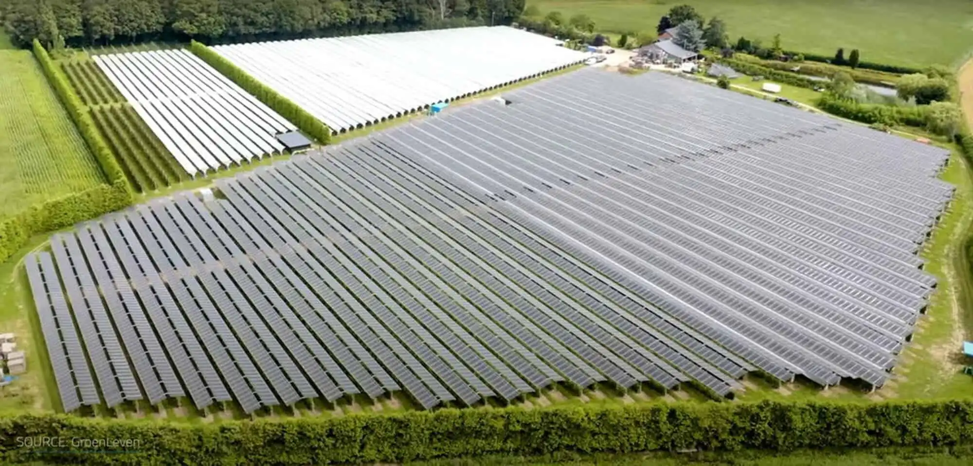 Solar panel farm on Martinique island promoting sustainable energy and high returns.