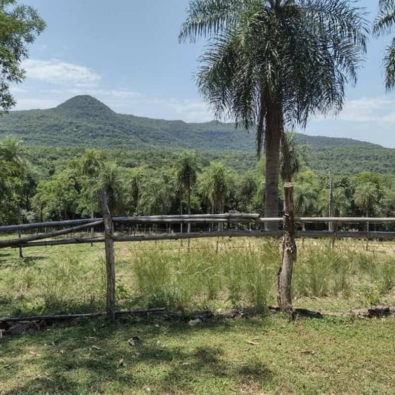 Beautiful land with two houses and lush greenery in Pirayu, Paraguay. Ideal for investment or buildi.