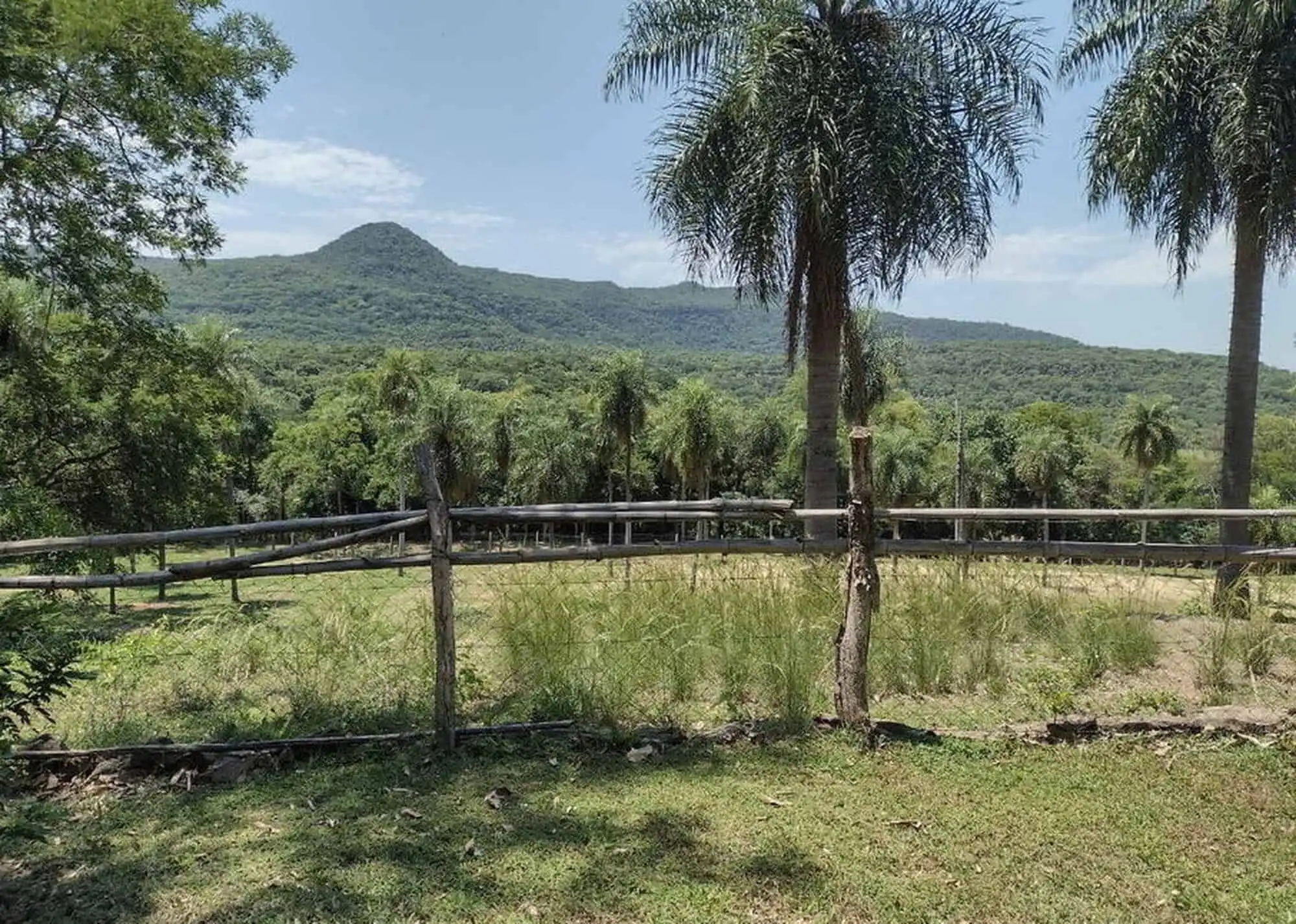 Beautiful land with two houses and lush greenery in Pirayu, Paraguay. Ideal for investment or buildi.