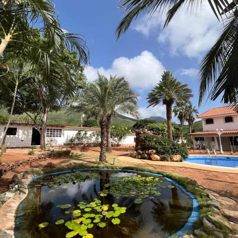 Pool with water lilies and tropical trees in a lush garden setting.