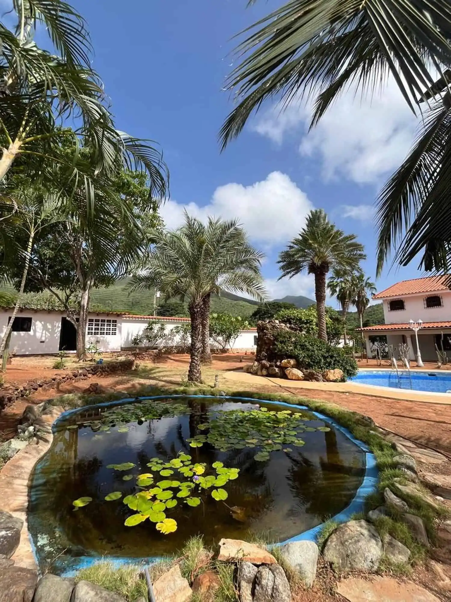 Pool with water lilies and tropical trees in a lush garden setting.